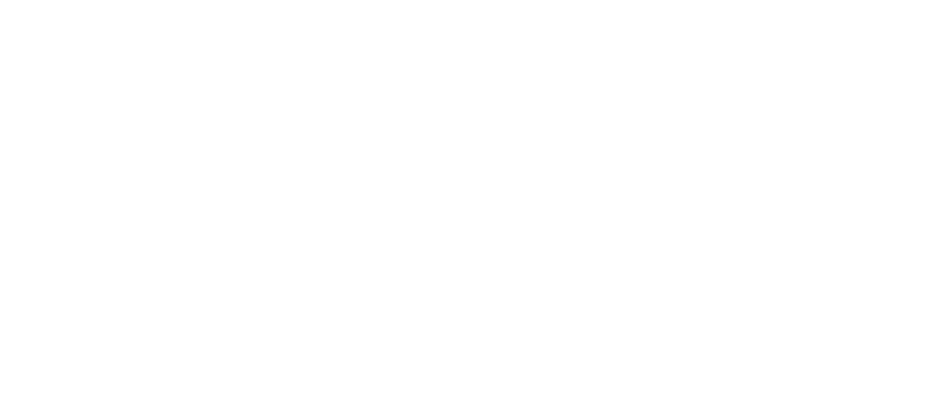 Brix Weine Logo